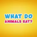 What do animals eat
